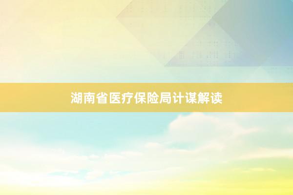 湖南省医疗保险局计谋解读