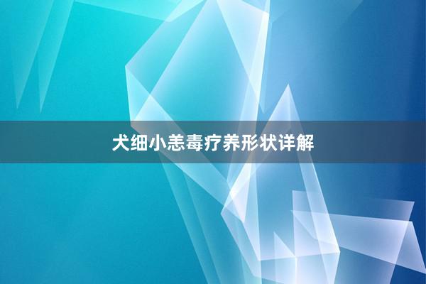 犬细小恙毒疗养形状详解