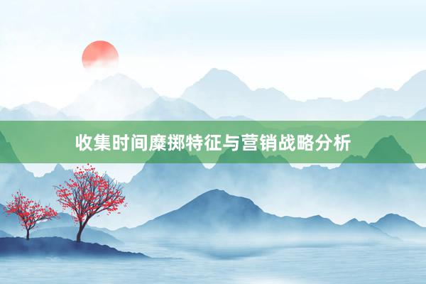收集时间糜掷特征与营销战略分析
